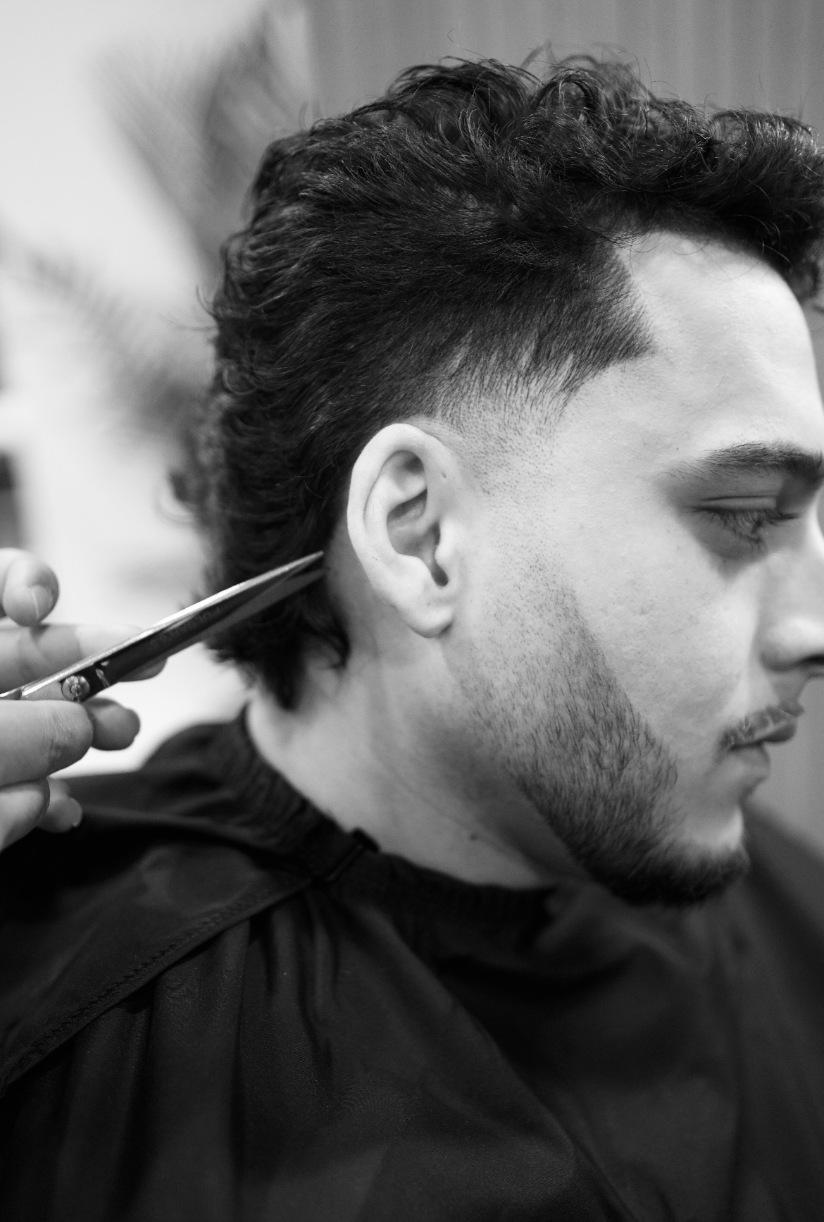 Haircut